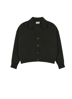 Maison Montagut Vestes Et Gilets>Cardigan Col Polo En Cachemire Melange - Lisa