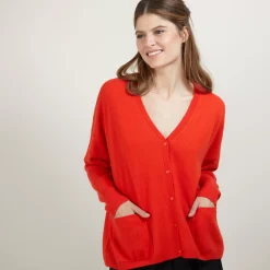 Maison Montagut Vestes Et Gilets>Cardigan Col V En Cachemire - Brune