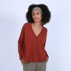 Maison Montagut Vestes Et Gilets>Cardigan Col V En Cachemire - Brune