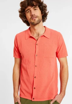 Maison Montagut Chemises>Chemise Manches Courtes En Coton Brosse - Dominique