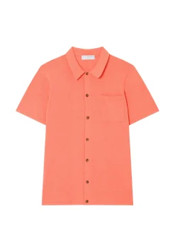 Maison Montagut Chemises>Chemise Manches Courtes En Coton Brosse - Dominique