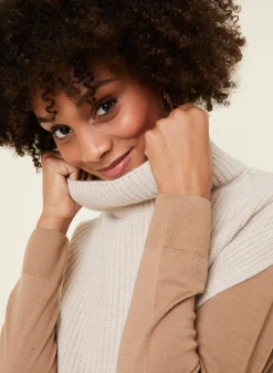 Maison Montagut Pulls>Pull Col Montant Sans Manches En Cachemire Melange - Dalya