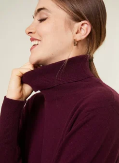 Maison Montagut Pulls>Pull Col Roule En Cachemire - Anabelle
