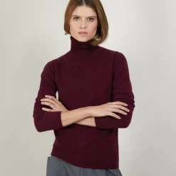 Maison Montagut Pulls>Pull Col Roule En Cachemire - Bauhaus