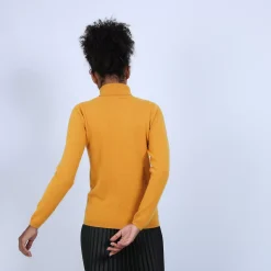 Maison Montagut Pulls>Pull Col Roule En Cachemire - Bauhaus