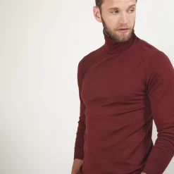 Maison Montagut Pulls>Pull Col Roule En Laine Merinos - Berry