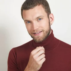 Maison Montagut Pulls>Pull Col Roule En Laine Merinos - Berry