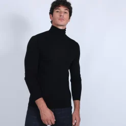Maison Montagut Pulls>Pull Col Roule En Laine Merinos - Berry