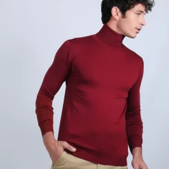 Maison Montagut Pulls>Pull Col Roule En Laine Merinos - Berry
