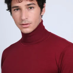 Maison Montagut Pulls>Pull Col Roule En Laine Merinos - Berry