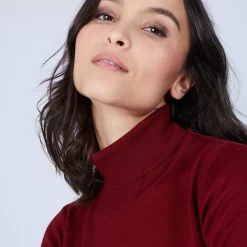 Maison Montagut Pulls>Pull Col Roule En Laine Merinos - Bea
