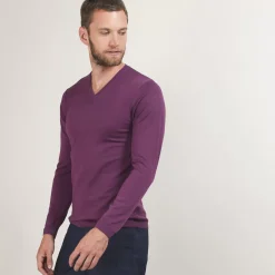 Maison Montagut Pulls>Pull Col V En Laine Merinos - Badyss