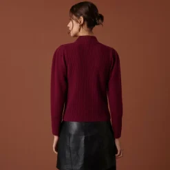 Maison Montagut Pulls>Pull En Cachemire Col Montant En Maille Cotelee - Carene